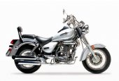 2006 UM Renegade 200 photo